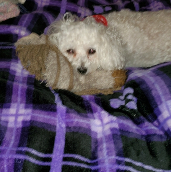 Meet your Posher, Amy - Picture 1 of 1